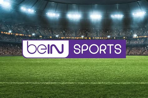 yalla live tv direct|beIN SPORTS Live Score: beIN Match Center, Statistics, Live。